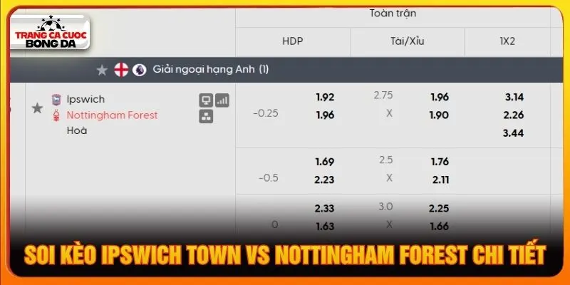 Soi kèo Ipswich Town vs Nottingham Forest chi tiết